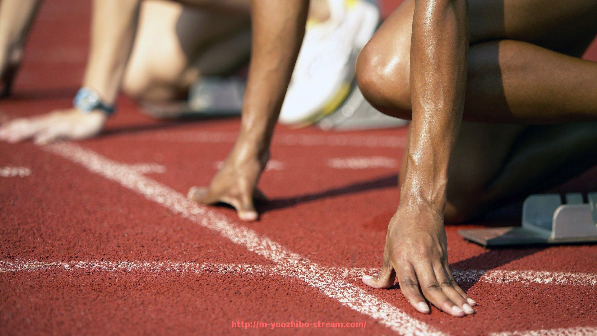 优直播-世俱杯赞助商品牌合作案例分析与推广策略总结